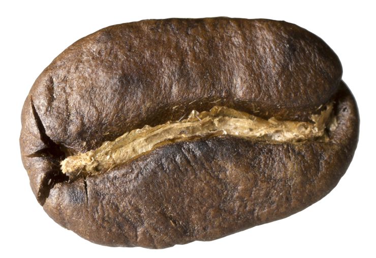 Picture Of Coffee Bean At Close